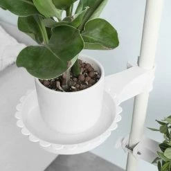 Beste Bewertungen von 🎉 SoBuy KLS09-W Teleskop Blumentreppe Blumenregal Höhenverstellbarer Pflanzenständer Pflanzentreppe Pflanzenregal Innenbereich Balkon Höhe: 259-314cm ⌛ 5 Beste Bewertungen von 🎉 SoBuy KLS09-W Teleskop Blumentreppe Blumenregal Höhenverstellbarer Pflanzenständer Pflanzentreppe Pflanzenregal Innenbereich Balkon Höhe: 259-314cm ⌛ -SOBUY SHOP 35582530 4